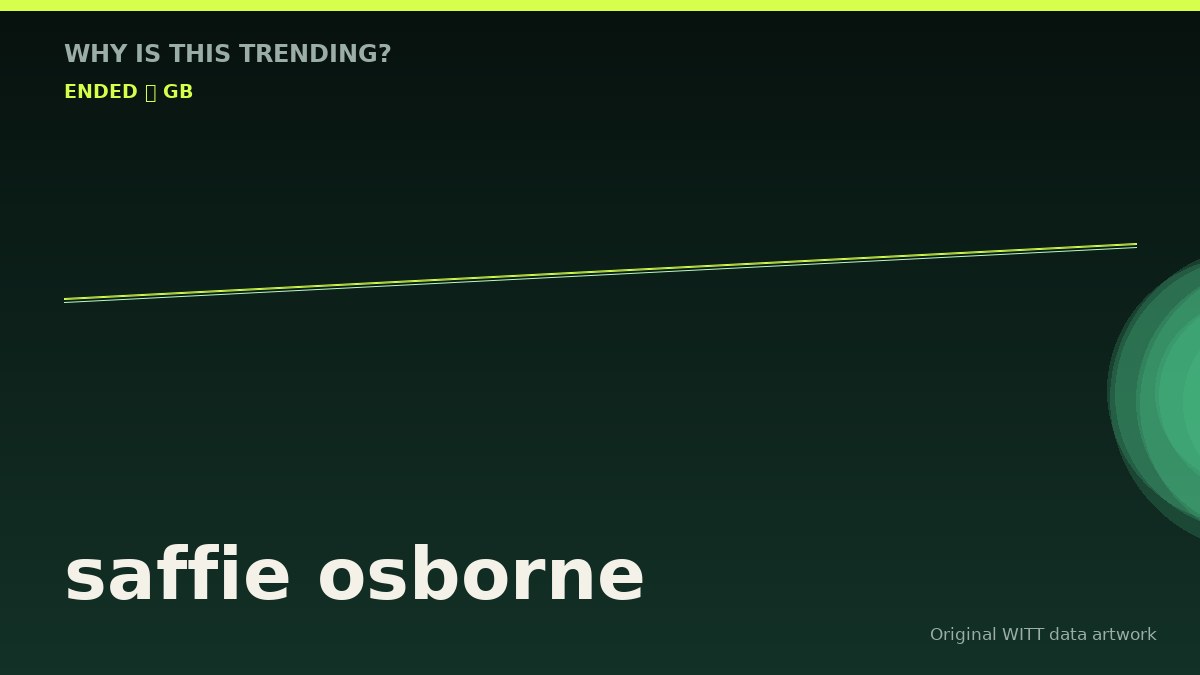 saffie osborne original attention timeline illustration