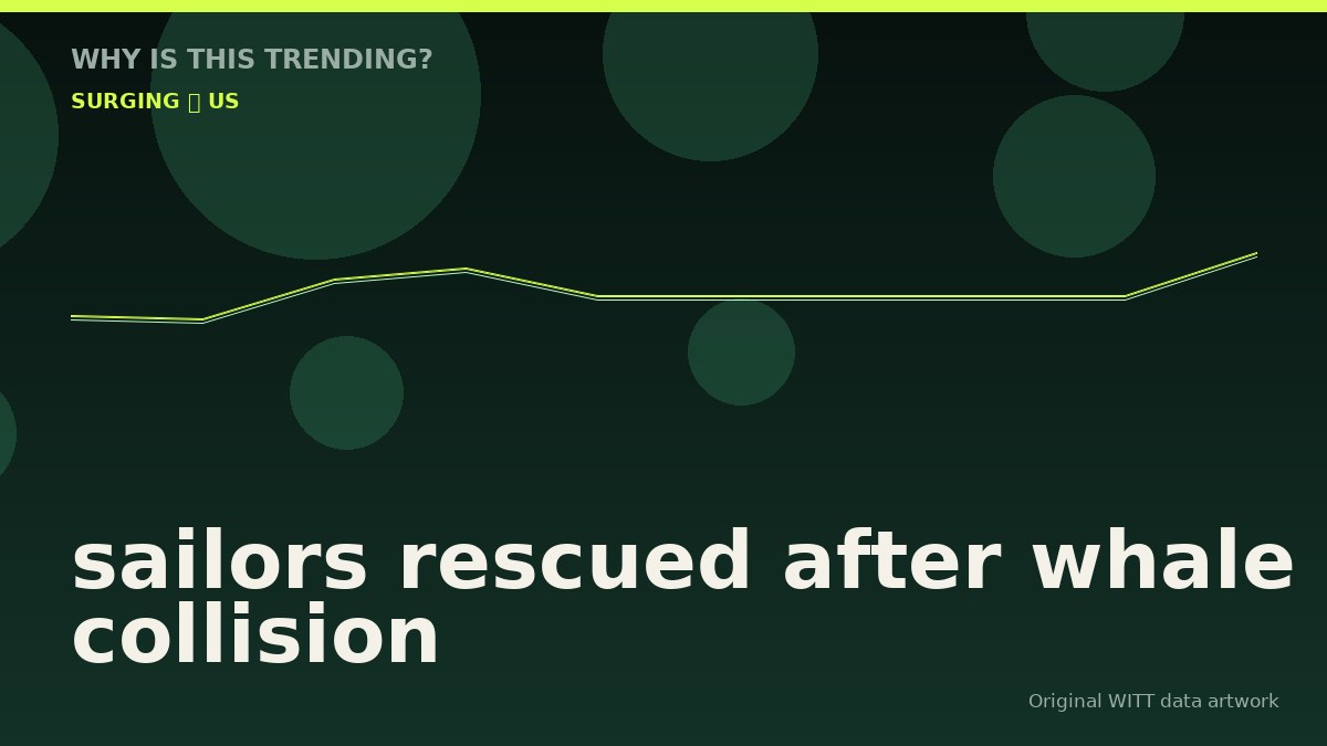 sailors rescued after whale collision original attention timeline illustration
