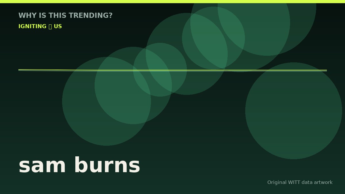 sam burns original attention timeline illustration