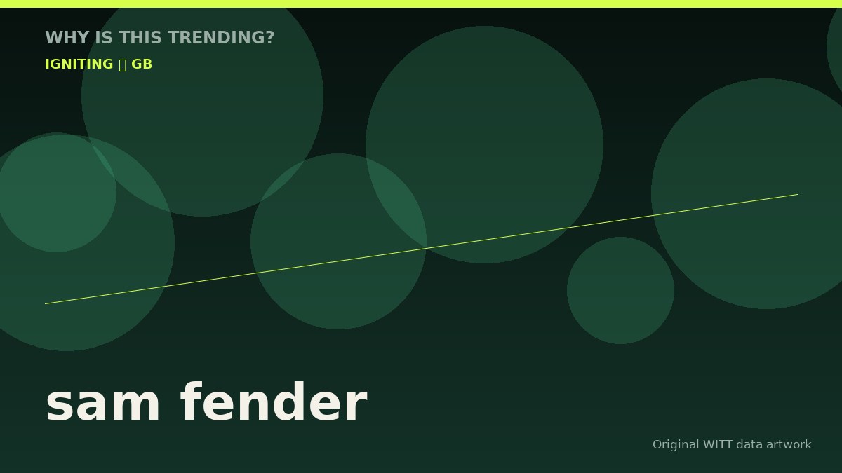 sam fender original attention timeline illustration