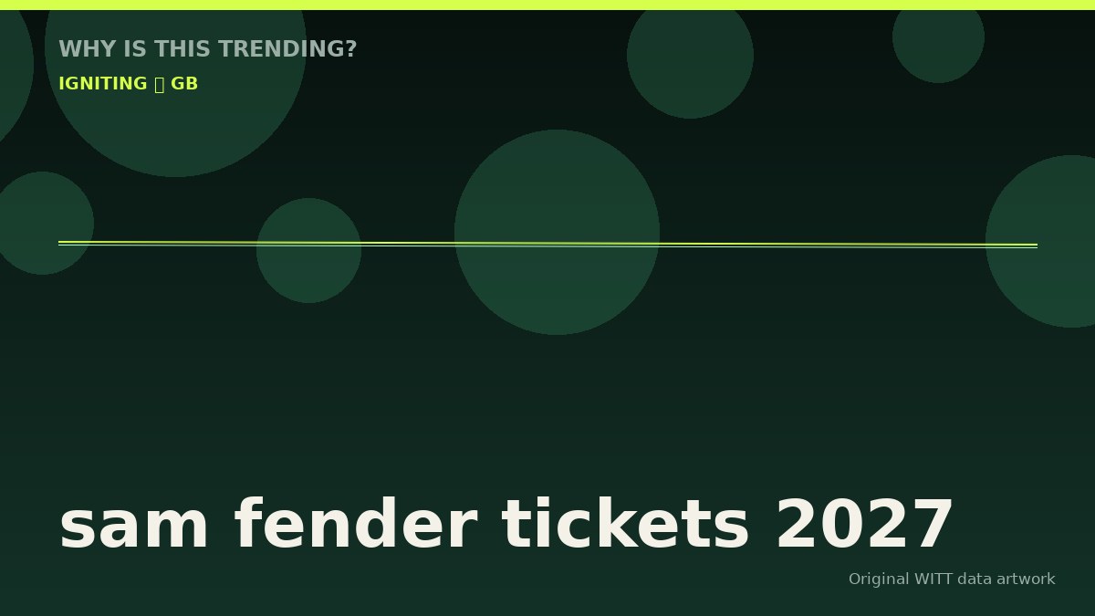 sam fender tickets 2027 original attention timeline illustration