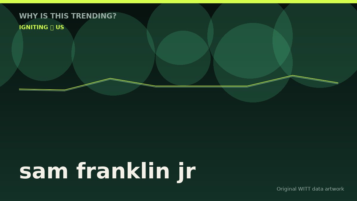 sam franklin jr original attention timeline illustration