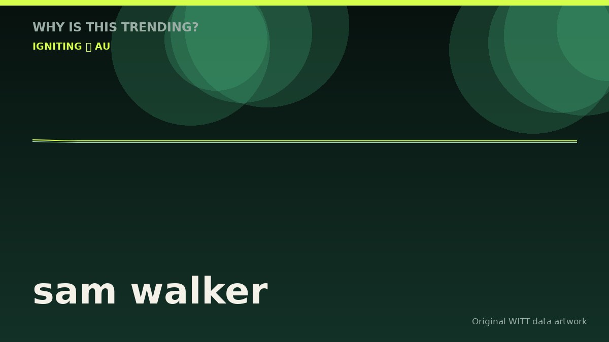 sam walker original attention timeline illustration