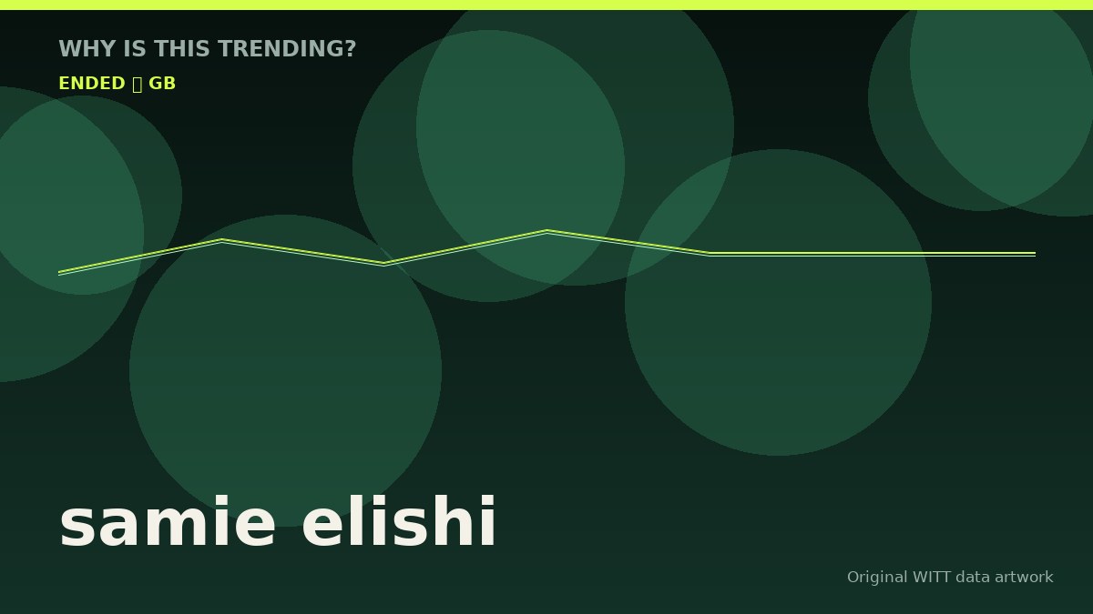 samie elishi original attention timeline illustration