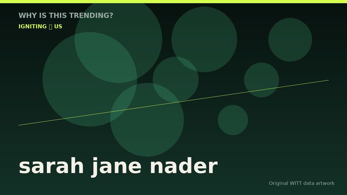 sarah jane nader original attention timeline illustration