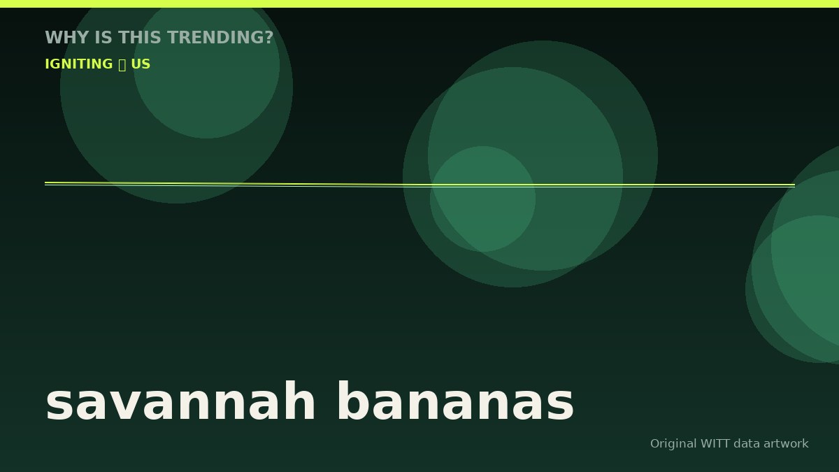 savannah bananas original attention timeline illustration