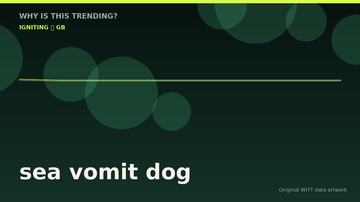 sea vomit dog original attention timeline illustration