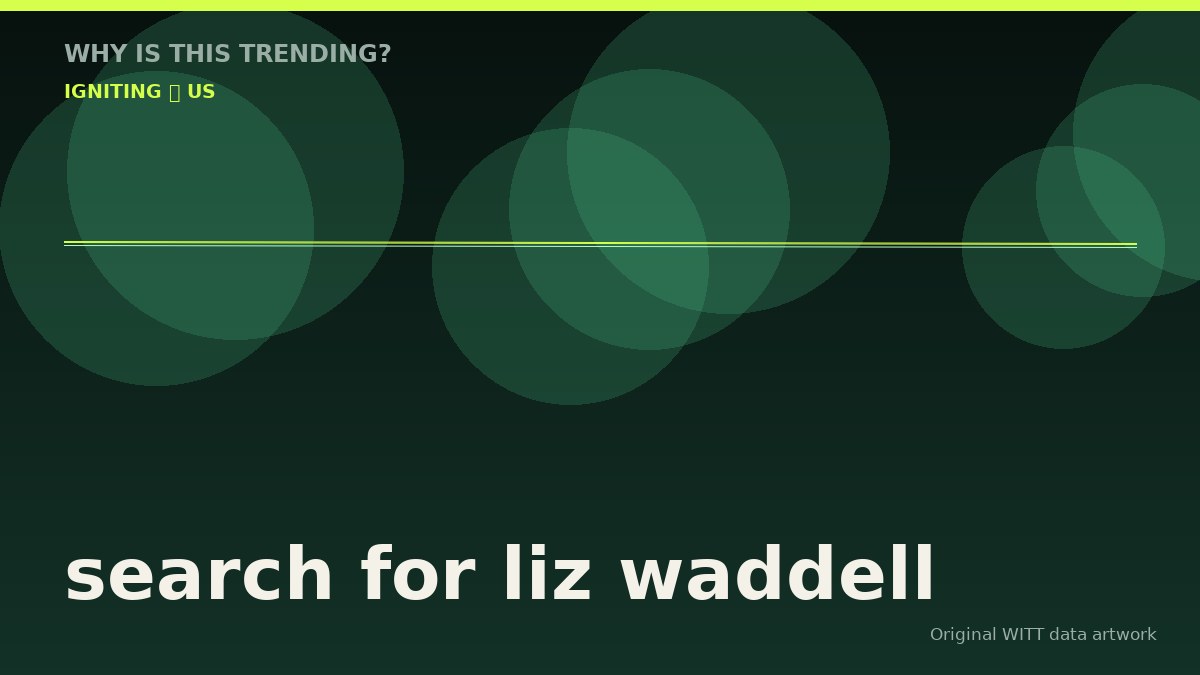 search for liz waddell original attention timeline illustration