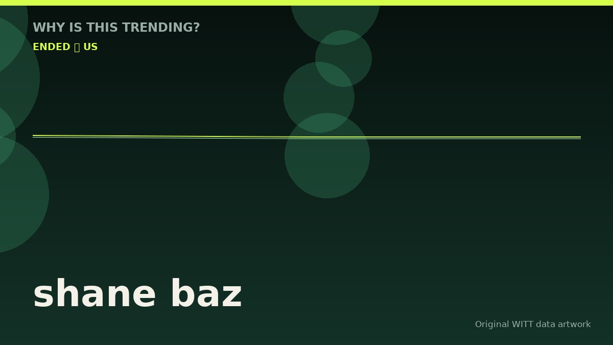 shane baz original attention timeline illustration