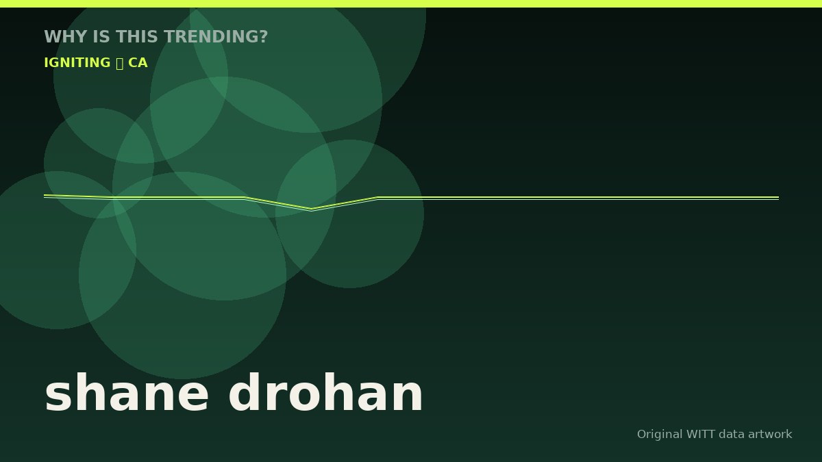 shane drohan original attention timeline illustration