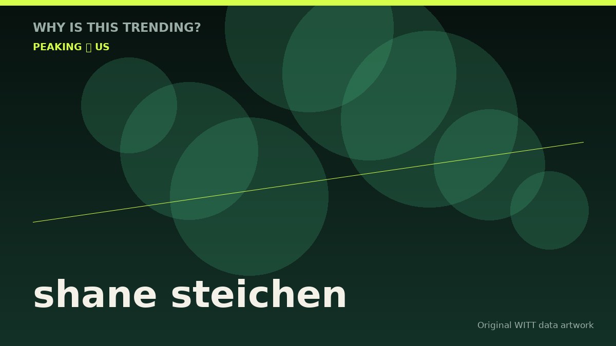 shane steichen original attention timeline illustration