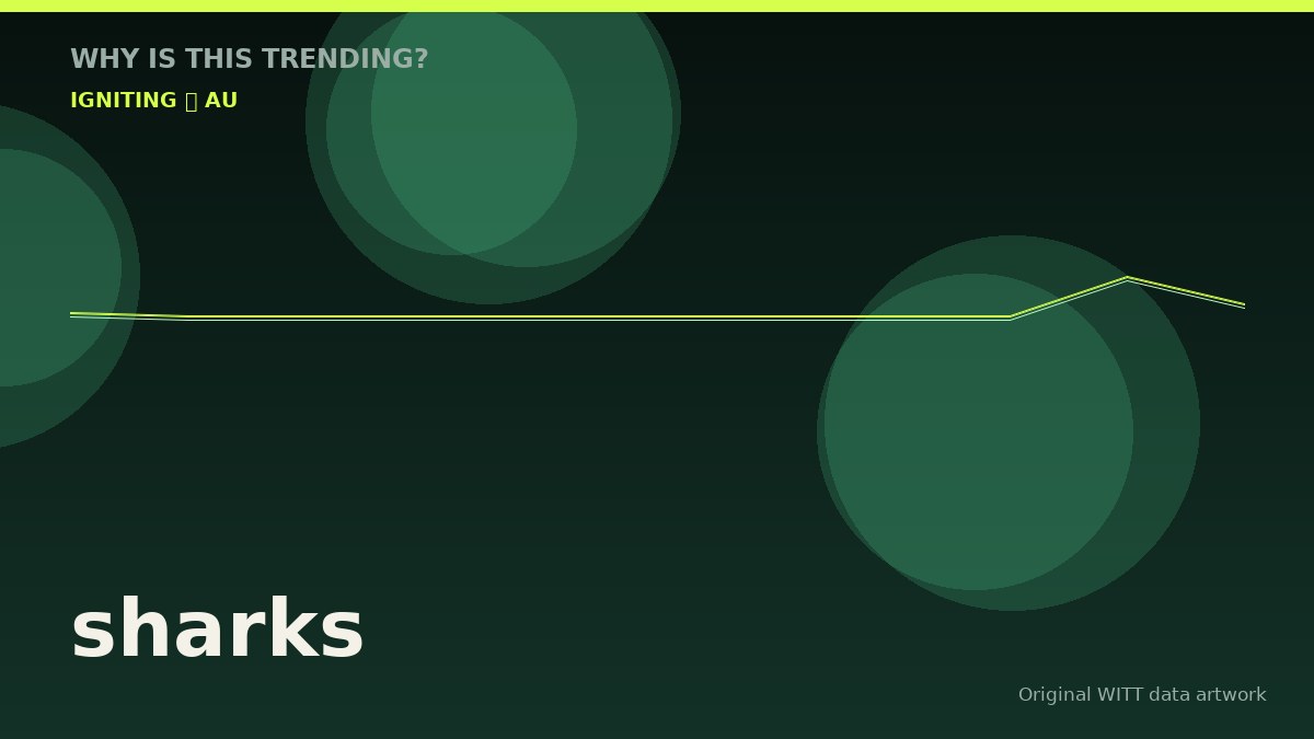 sharks original attention timeline illustration