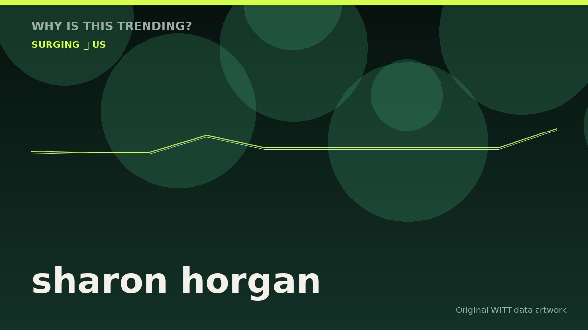 sharon horgan original attention timeline illustration