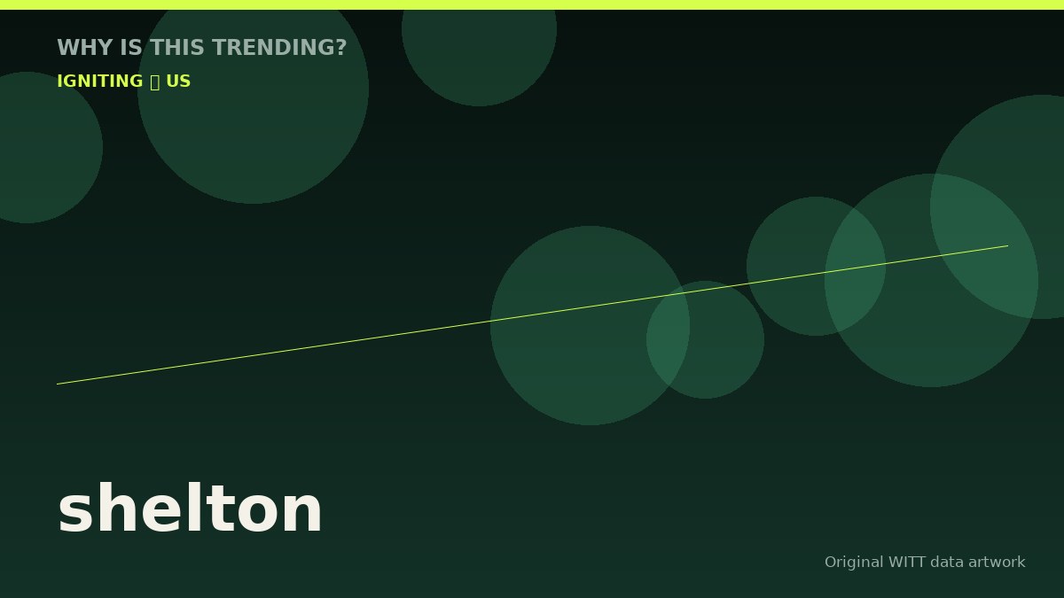 shelton original attention timeline illustration