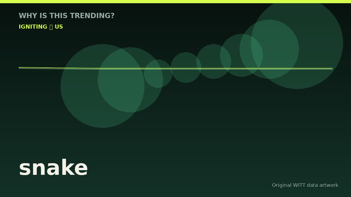 snake original attention timeline illustration