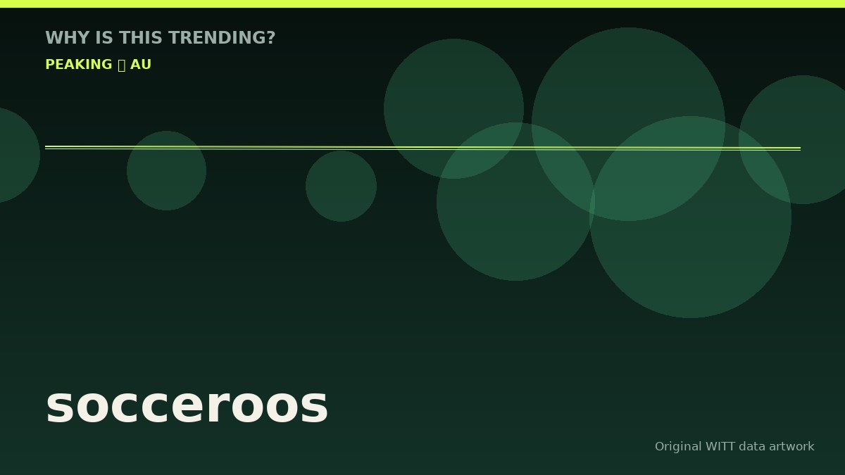 socceroos original attention timeline illustration