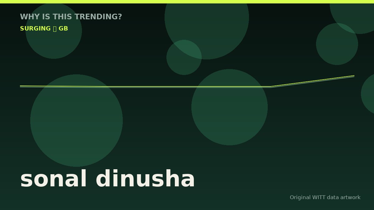 sonal dinusha original attention timeline illustration
