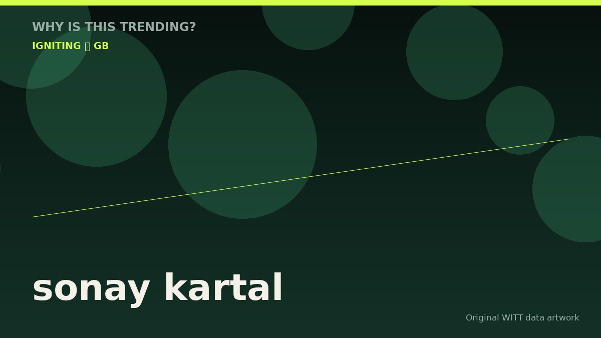 sonay kartal original attention timeline illustration