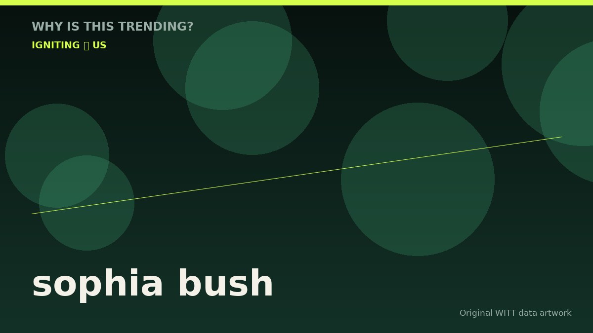 sophia bush original attention timeline illustration