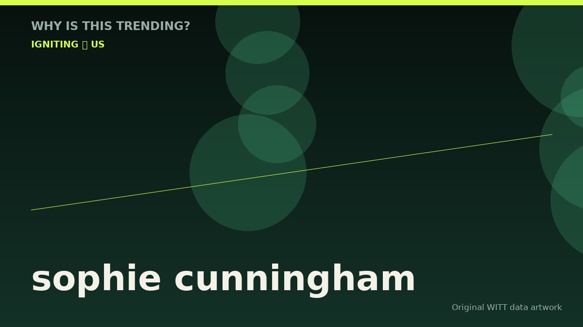 sophie cunningham original attention timeline illustration
