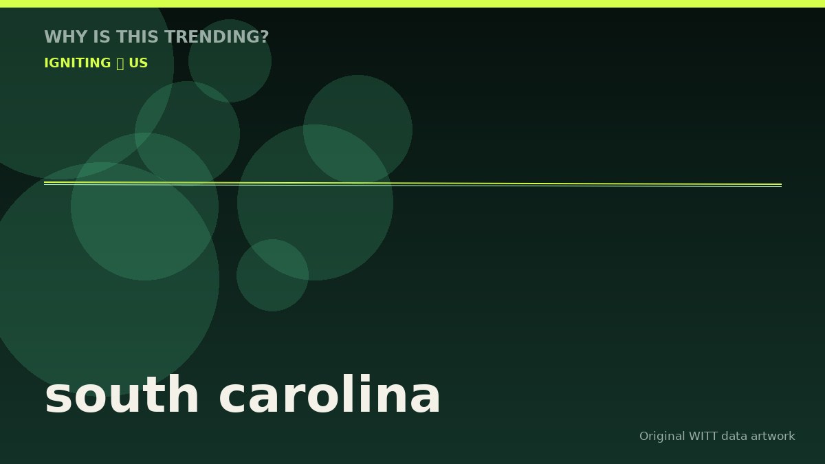 south carolina original attention timeline illustration