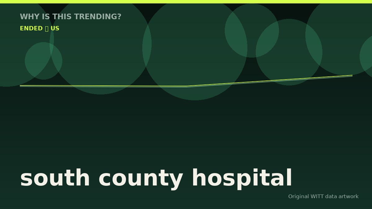 south county hospital original attention timeline illustration
