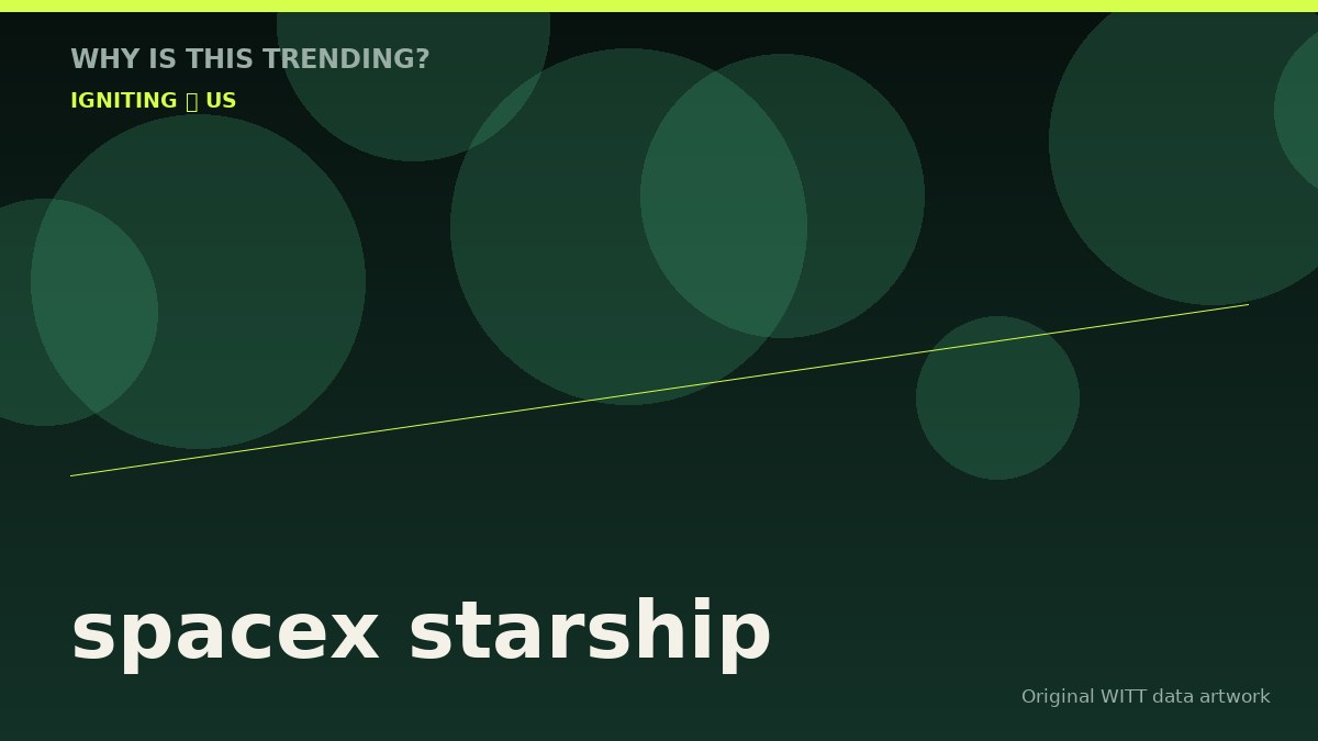 spacex starship original attention timeline illustration