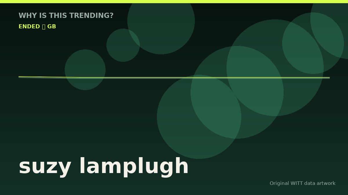 suzy lamplugh original attention timeline illustration