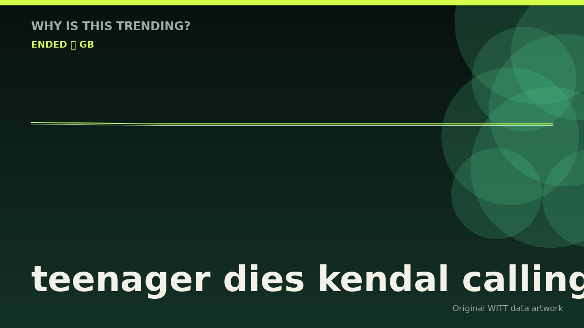 teenager dies kendal calling original attention timeline illustration
