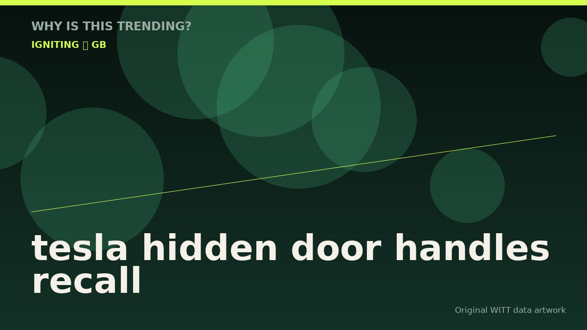 tesla hidden door handles recall original attention timeline illustration