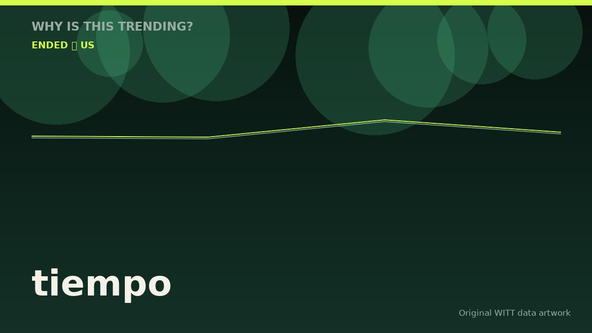 tiempo original attention timeline illustration