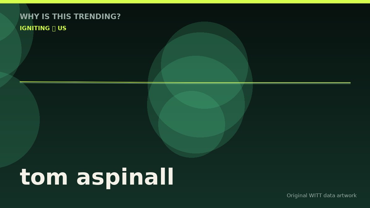 tom aspinall original attention timeline illustration