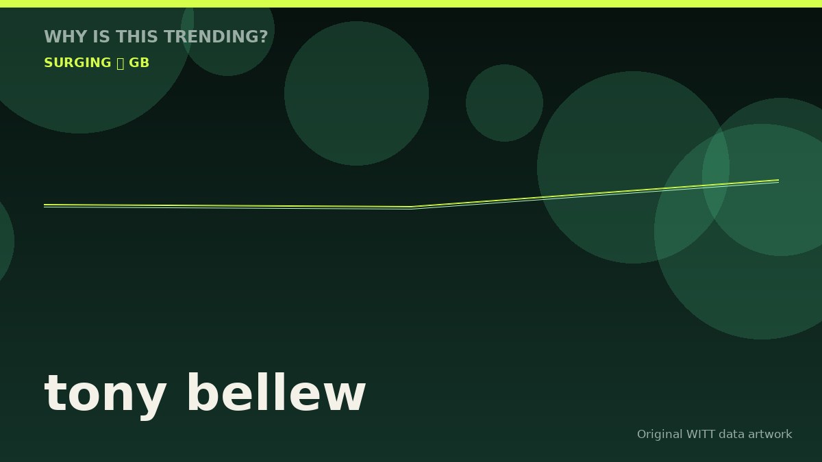 tony bellew original attention timeline illustration