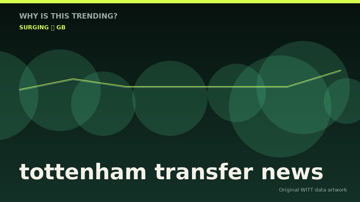 tottenham transfer news original attention timeline illustration