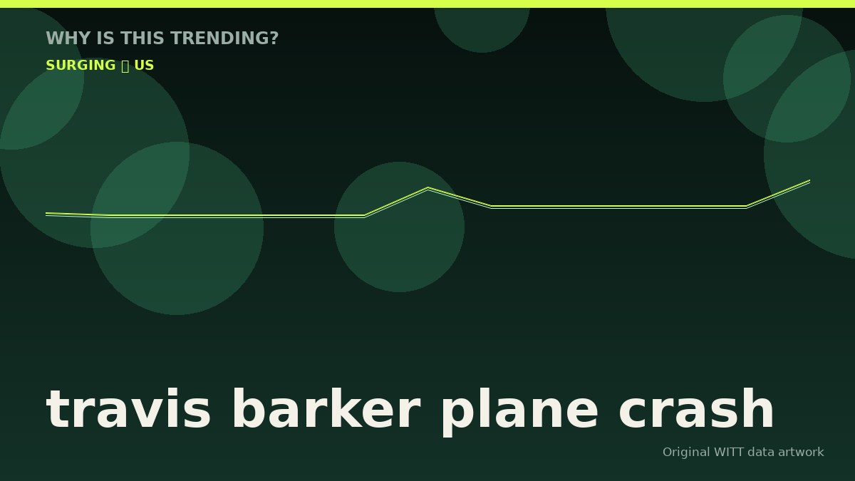 travis barker plane crash original attention timeline illustration