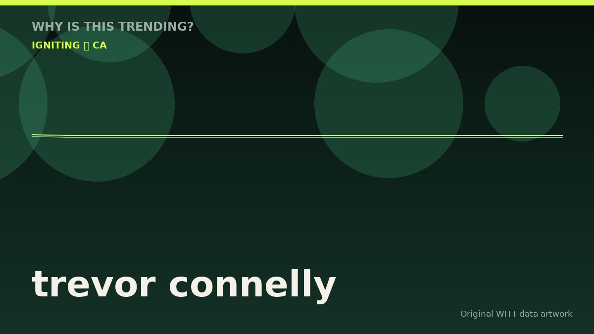 trevor connelly original attention timeline illustration