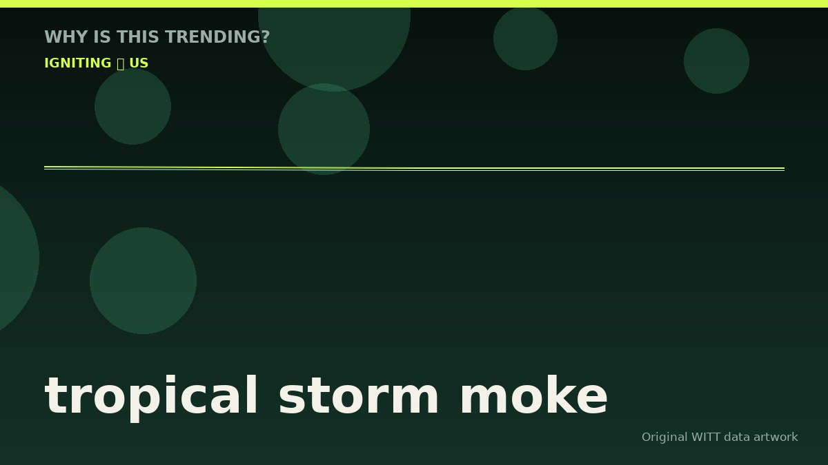 tropical storm moke original attention timeline illustration