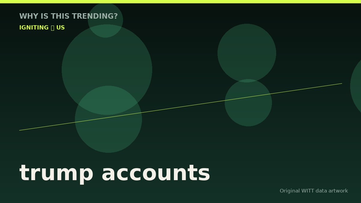trump accounts original attention timeline illustration