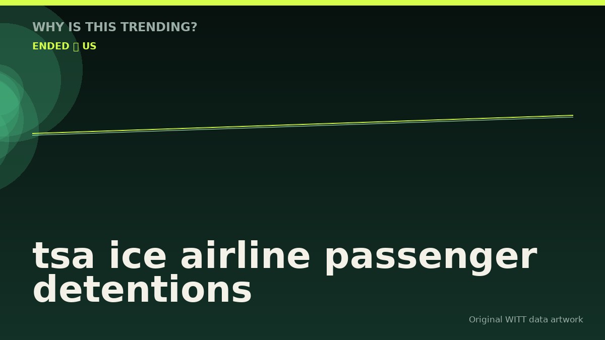 tsa ice airline passenger detentions original attention timeline illustration