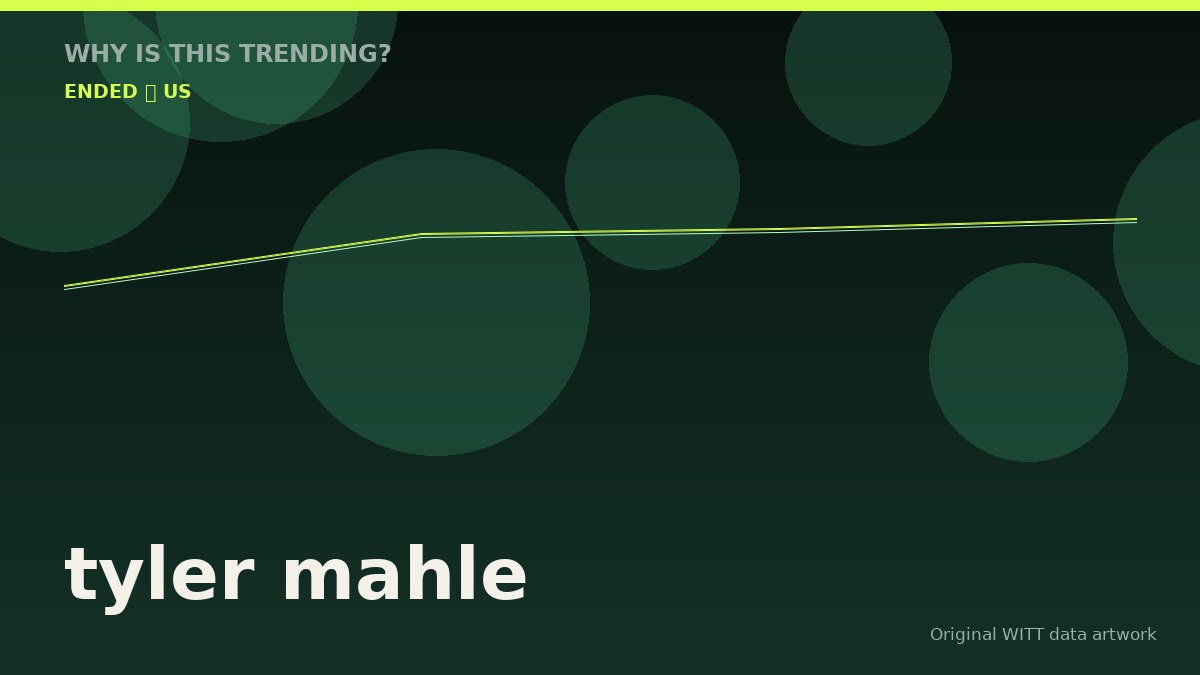 tyler mahle original attention timeline illustration