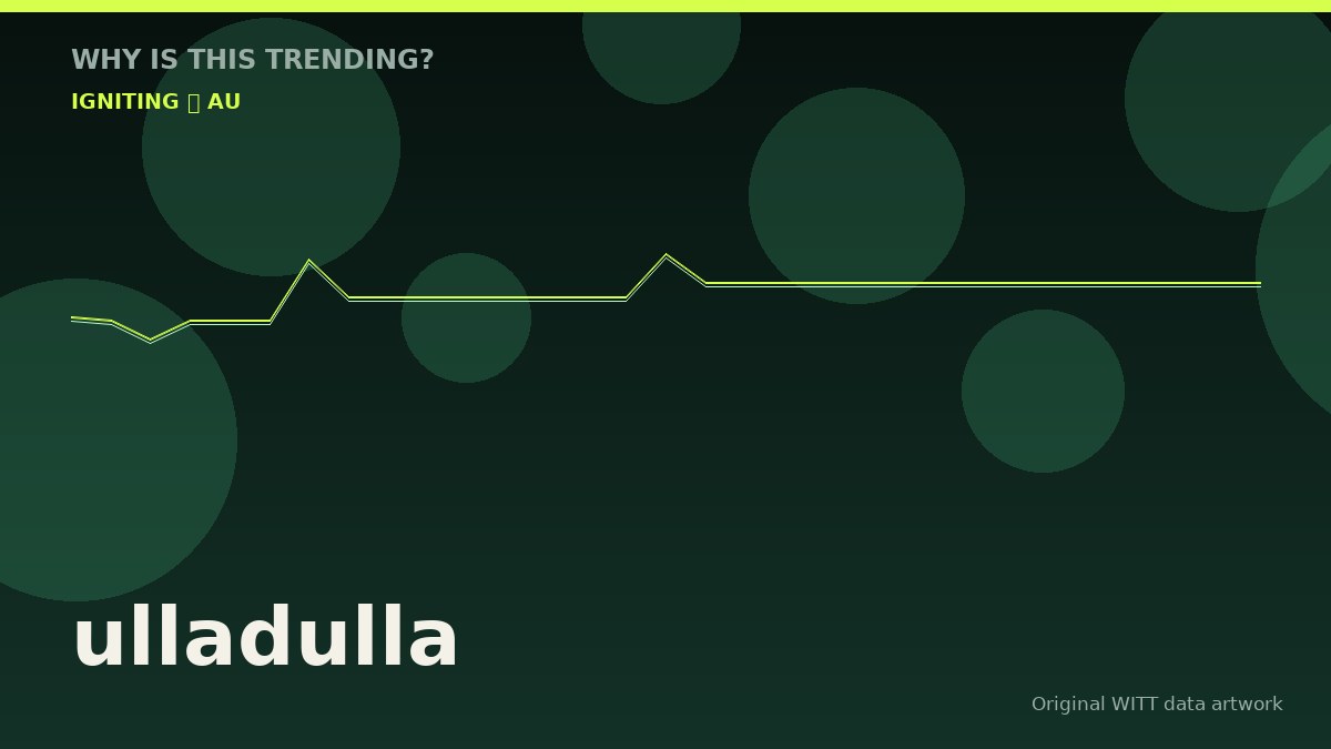 ulladulla original attention timeline illustration
