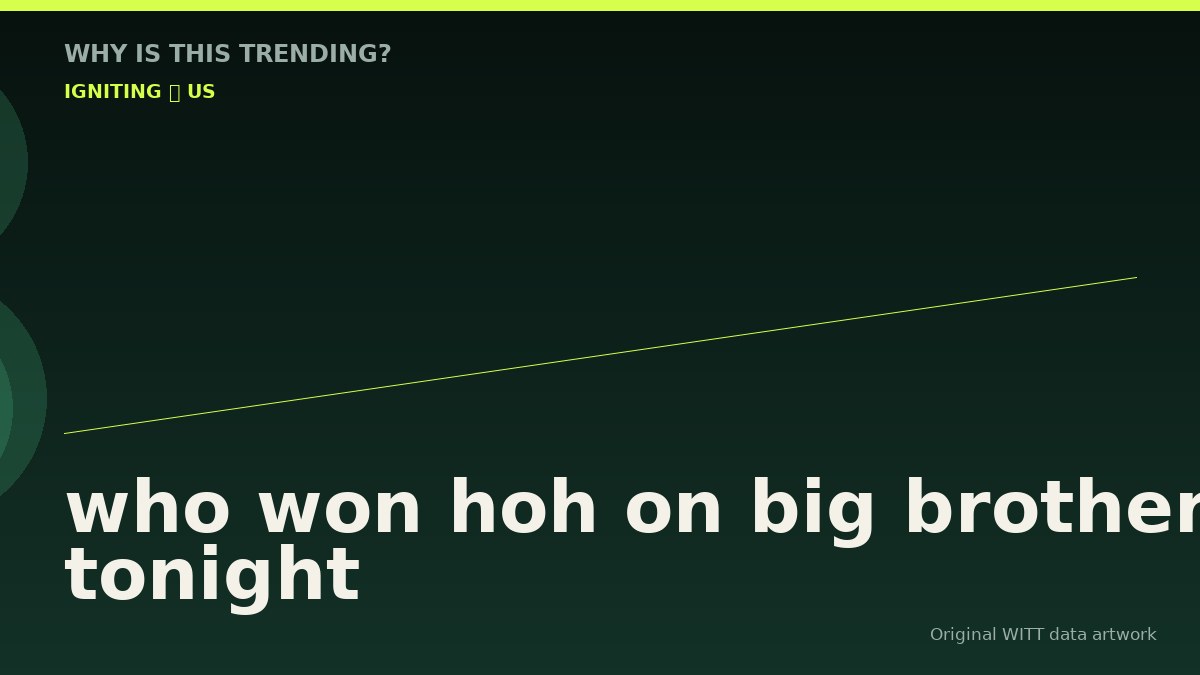 who won hoh on big brother tonight original attention timeline illustration