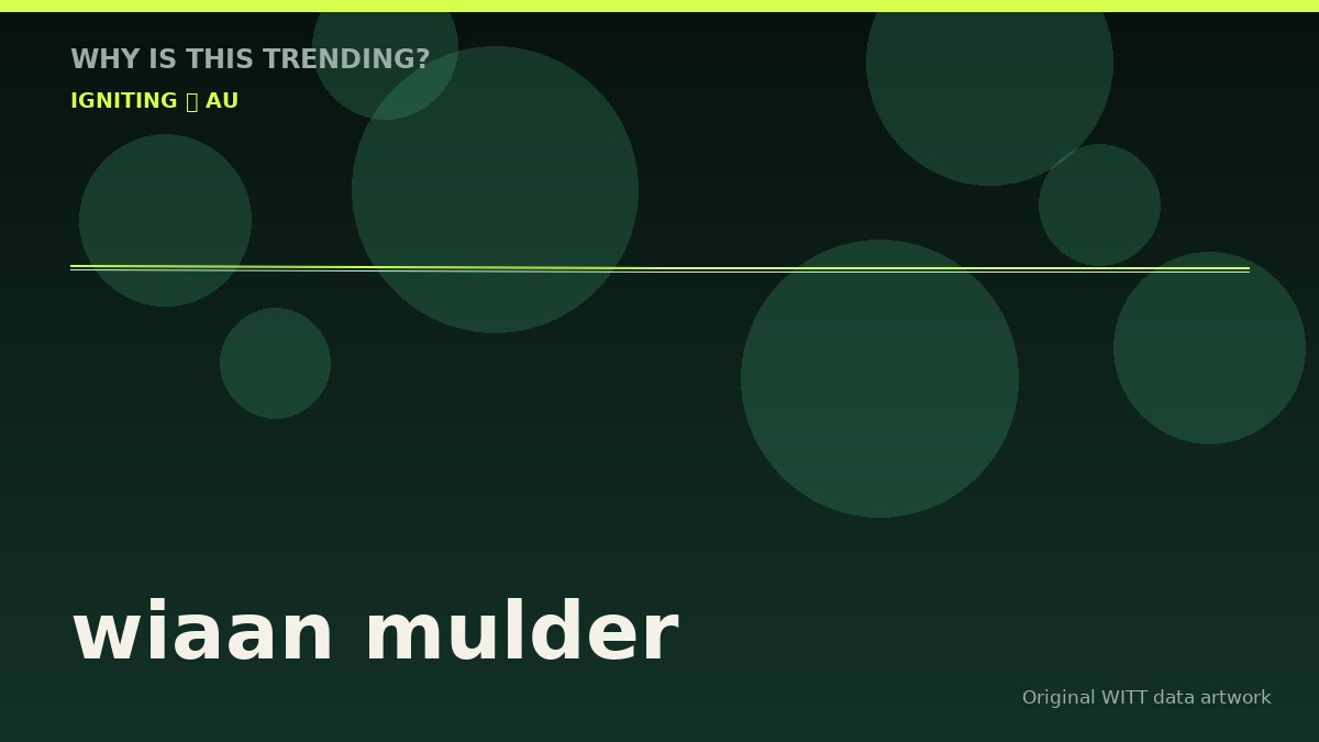 wiaan mulder original attention timeline illustration