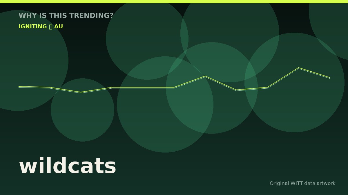 wildcats original attention timeline illustration