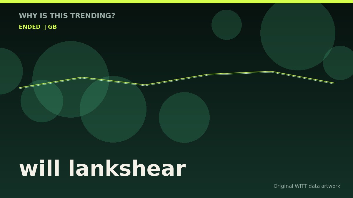 will lankshear original attention timeline illustration