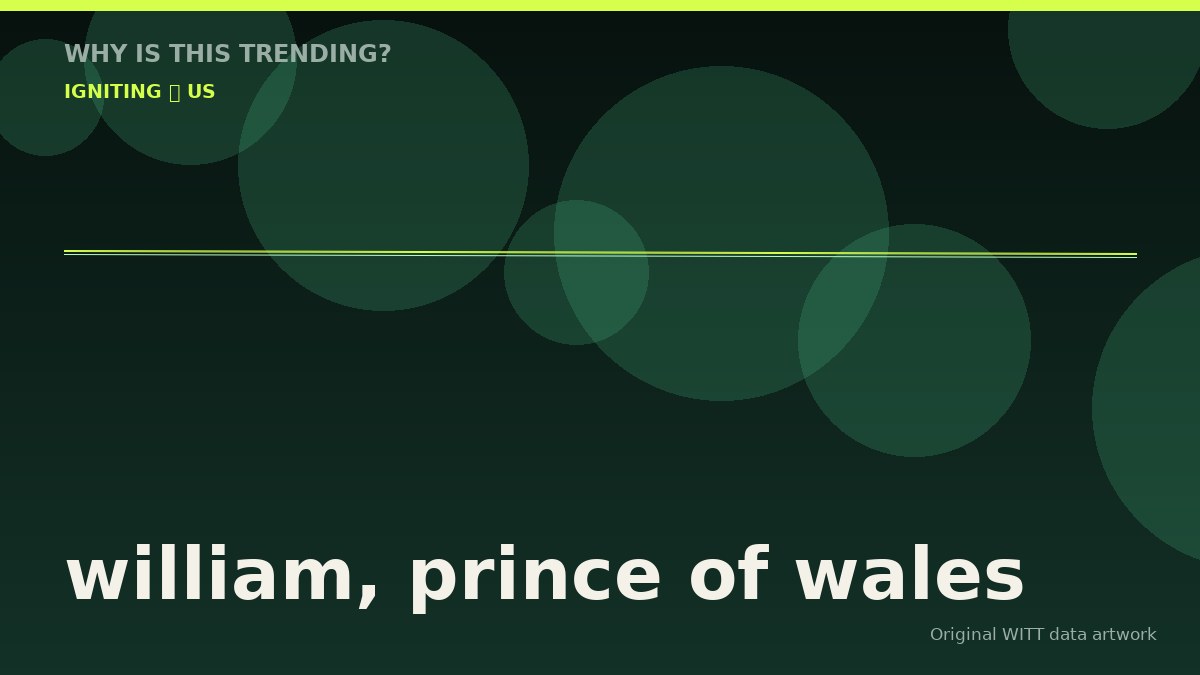 william, prince of wales original attention timeline illustration