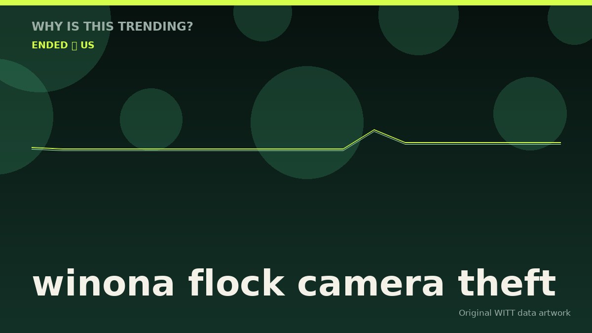 winona flock camera theft original attention timeline illustration