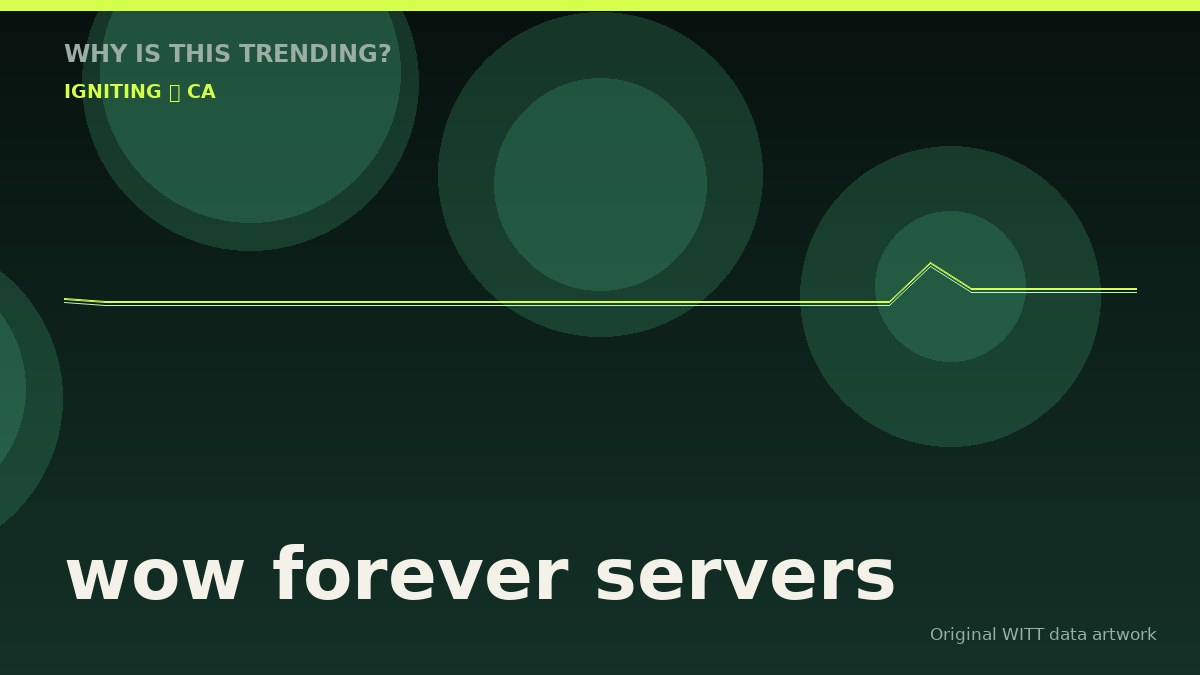 wow forever servers original attention timeline illustration
