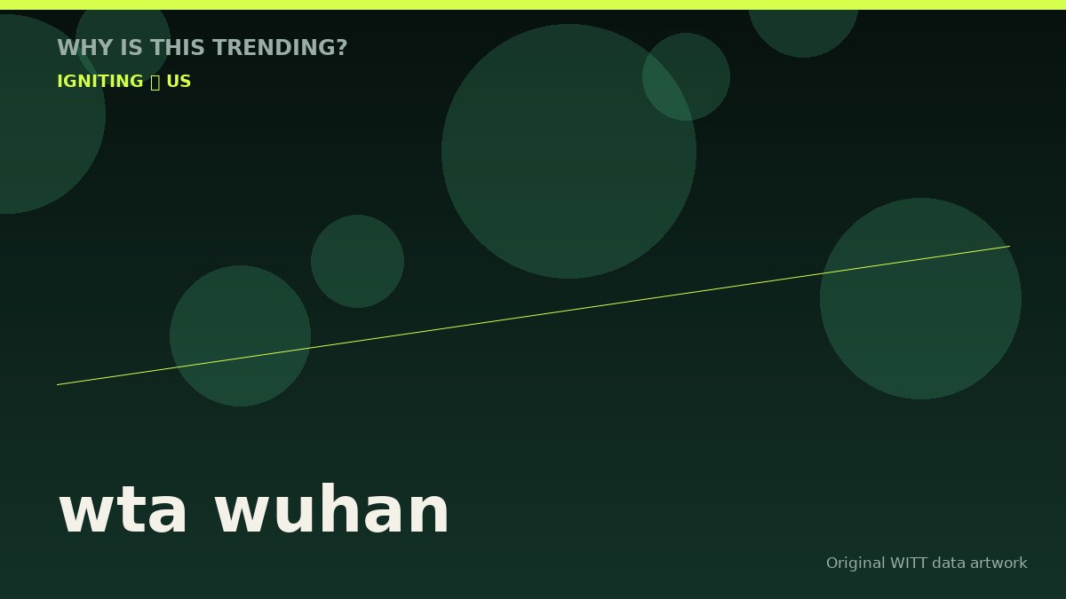 wta wuhan original attention timeline illustration