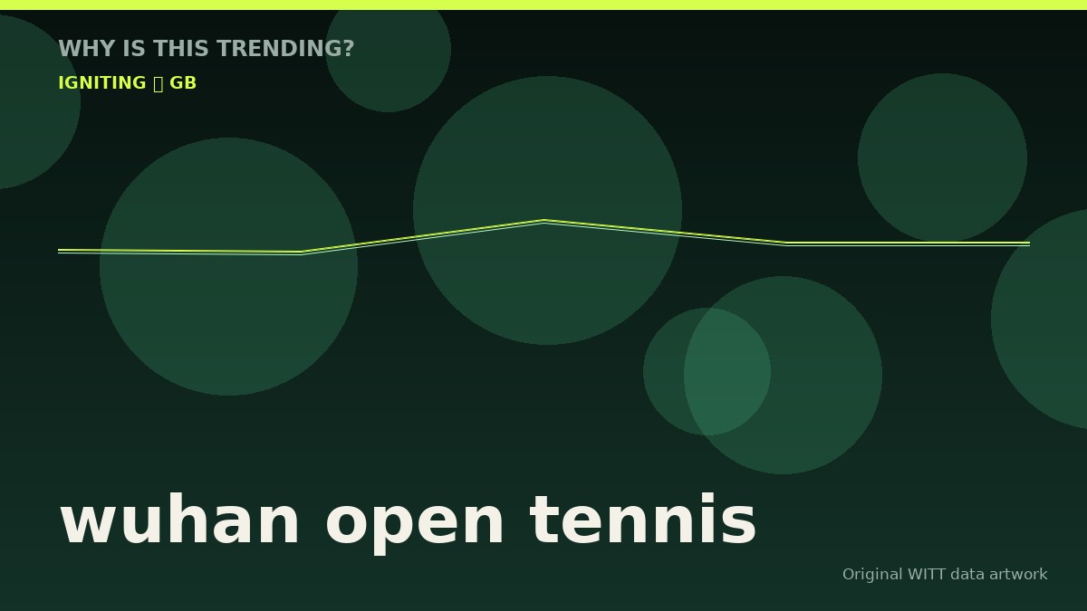 wuhan open tennis original attention timeline illustration